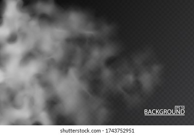 White fog or smoke on isolated transparent background. Smog, Cloudy sky. Vector illustration