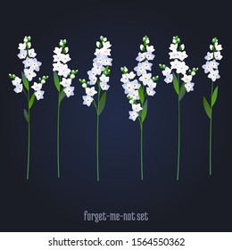 White forget-me-not flowers vector illustration. Set of vintsge spring flowers element.