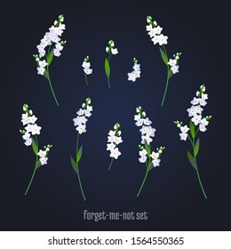 White forget-me-not flowers vector illustration. Set of vintsge spring flowers element.