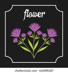 white frame with beautiful flower icon over black background. colorful design. vector illustration