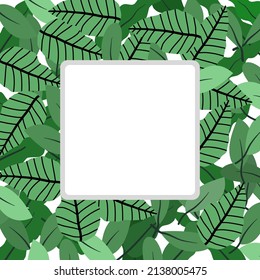 White frame in nature green leaves background vector. Tropical leaf with line arts, jungle plants, Tropical leaf