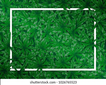 white frame on green  grass