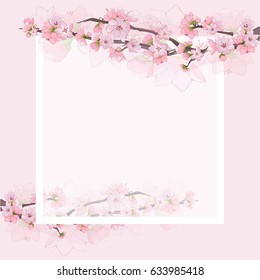white frame on a pink background with Sakura