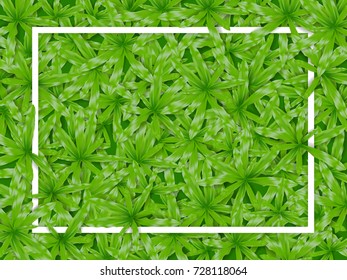 white frame over green grass 