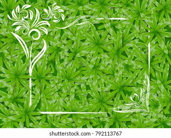 white frame over green grass 