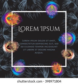 White frame surrounded by feathers for presentation. Vector illustration for business.