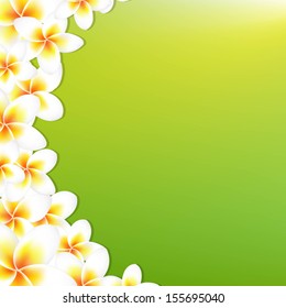 White Frangipani Border With Green Background, With Gradient Mesh, Vector Illustration