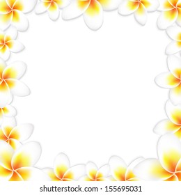 White Frangipani Frame, With Gradient Mesh, Vector Illustration