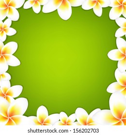 Marco Frangipani Blanco Con Fondo Verde, Con Malla Gradiente, Ilustración Vectorial