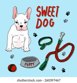 White french bulldog puppy with a leash, collar, bowl and ball