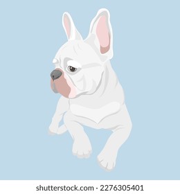 White French bulldog vector illustration.