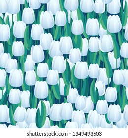 Los tulipanes frescos blancos de fondo transparente. Fondo abstracto vectorial