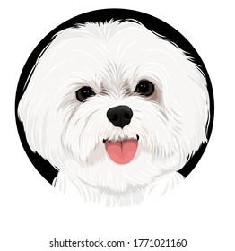 A white friendly Bichon dog vector