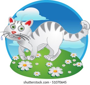 White fun cat on color background