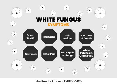 White Fungus disease symptoms infographic on white background. White fungus symbols. Medical conceptual vector illustration.