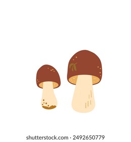 White fungus isolated on white background. Edible mushrooms Vector hand drawn flat illustration