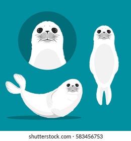 White Fur Seal Animal