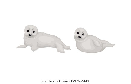White Fur Seals as Pinniped Specie with Vibrissae and Dense Underfur Vector Set