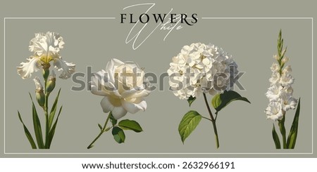 White garden flowers isolated on a neutral background. Vintage painting style illustration.