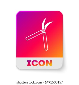 White Gardening handmade scissors for trimming icon isolated on white background. Pruning shears with wooden handles. Rectangle color button. Vector Illustration