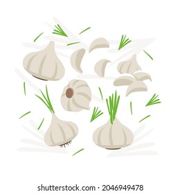 White Garlic elements abstract vector design background for packaging design