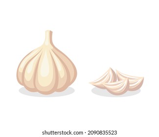 ilustración vectorial aislada de ajo blanco