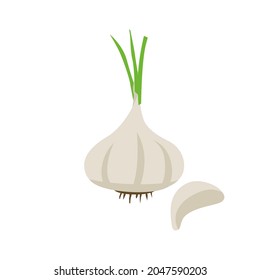 White garlic pieces vector illustration isolated on white background