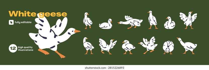 White geese set. Cute goose or duck in different comic pose. Funny farm poultry is resting, hissing, flapping wings. Barnyard animal, homestead fowl. Flat isolated hand drawn vector illustrations