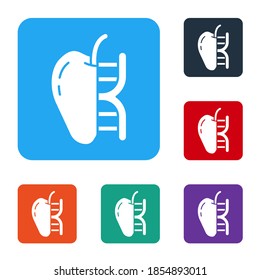 Icono de manzana blanca modificada genéticamente aislado en fondo blanco. Fruto de los OGM. Establezca iconos en los botones cuadrados de color. Vector