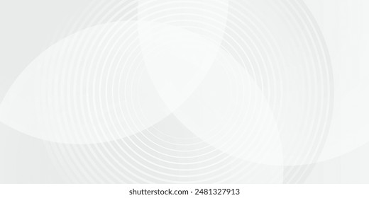 White geometric abstract background overlap layer on bright space with lines effect decoration. Modern graphic design element circles style concept for banner vector 