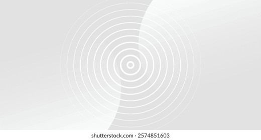 White geometric abstract background overlap layer on bright space with lines effect decoration. Modern graphic design element circles style concept for banner.
