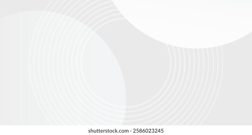White geometric abstract background overlap layer on bright space with lines effect decoration. Modern graphic design element circles 