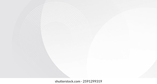 White geometric abstract background overlap layer on bright space with lines effect decoration. Modern graphic design element circles