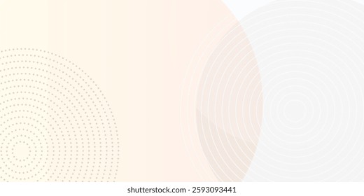 White geometric abstract background overlap layer on bright space with lines effect decoration. Modern graphic design element circles style concept