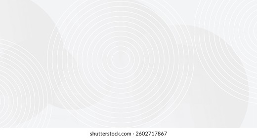White geometric abstract background overlap layer on bright space with lines effect decoration. Modern graphic design element circles style vector eps10