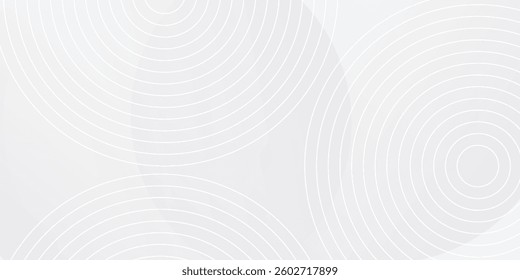 White geometric abstract background overlap layer on bright space with lines effect decoration. Modern graphic design element circles style vector eps10