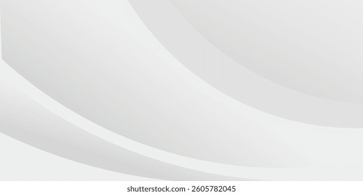 White geometric abstract background overlap layer on bright space with lines effect decoration. Modern graphic design element circles style concept for banner.