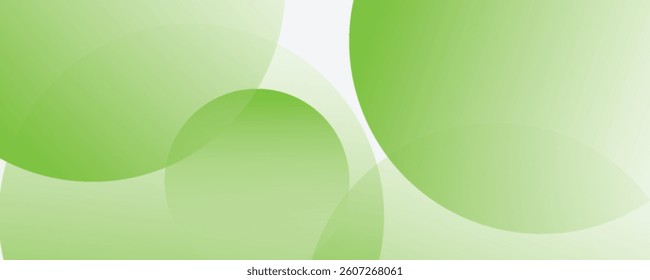 White geometric abstract background overlap layer on bright space with lines effect decoration. Modern graphic design element circles style concept for banner. Eps10