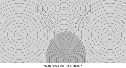 White geometric abstract background overlap layer on bright space with lines effect decoration. Modern graphic design element circles style concept for banner.