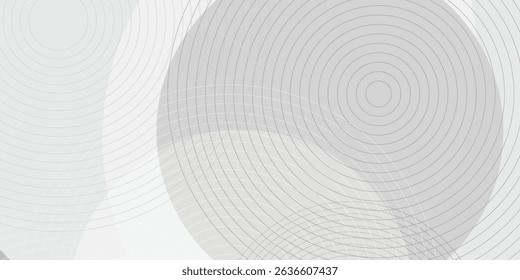 White geometric abstract background overlap layer on bright space with lines effect decoration. Modern graphic design element circles style concept simple art