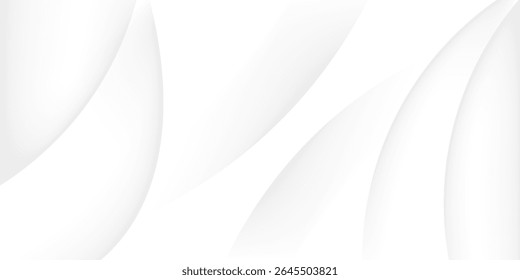 White geometric abstract background overlap layer on bright space with lines effect decoration. Modern graphic design element circles style concept for banner.