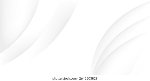 White geometric abstract background overlap layer on bright space with lines effect decoration. Modern graphic design element circles style concept for banner.