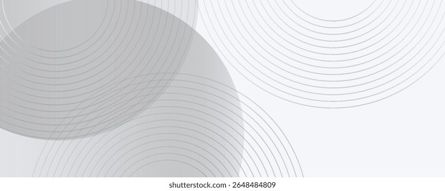 White geometric abstract background overlap layer on bright space with lines effect decoration. Modern graphic design element circles style concept for banner, modern vector arts