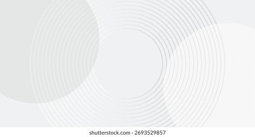 White geometric abstract background overlap layer on bright space with lines effect decoration. Modern graphic design element circles style concept for banner, modern vector arts
