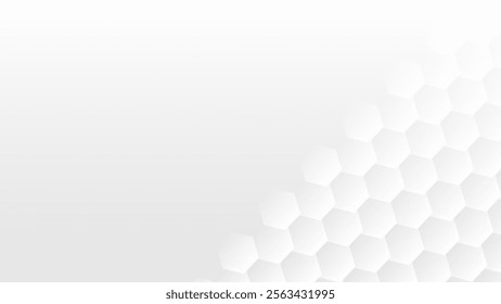 White Geometric Hexagon Background With Copy Space. Abstract Business Banner. Technology Wallpaper. Vector Illustration. Futuristic. Minimal. Frame