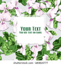 White geranium spring on the wall. Flower design is card, seamless, pattern and background. Vector illustration.