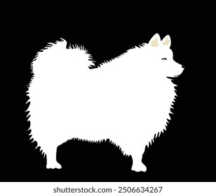 White German Spitz dog breed vector illustration isolated. Small pet.