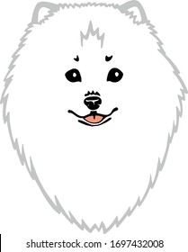 White german spitz vector dog drawing pomeranian