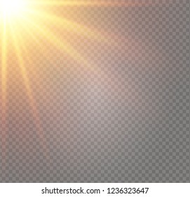 White glowing light explodes on a transparent background. Sparkling magical dust particles. Bright Star. Transparent shining sun, bright flash. Vector sparkles. To center a bright flash.