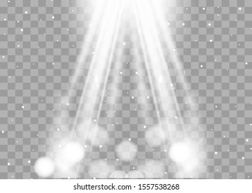 White glowing light explodes on a transparent background. Sparkling magical dust particles. Bright Star. Transparent shining sun, bright flash. Vector sparkles.
